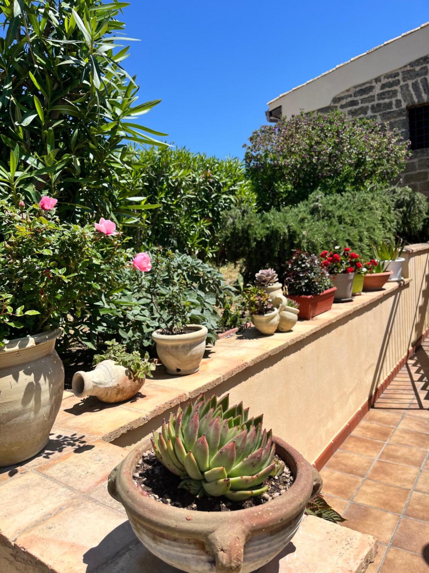 Appartement Domus Mare Luxury à San Leone Extérieur photo